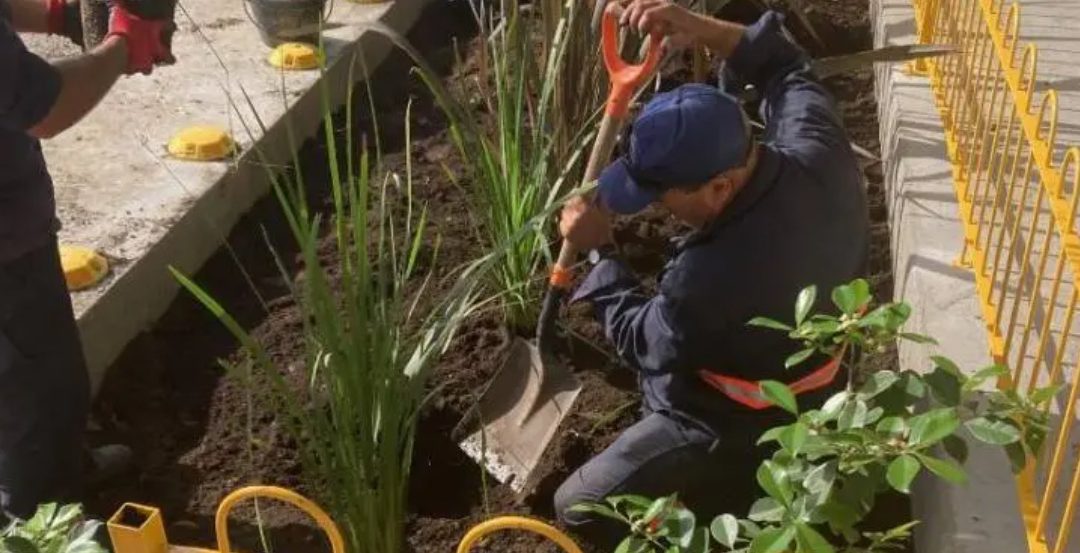 Jardín de lluvia en San José de Mayo: ¿qué es y para qué sirve?
