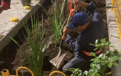 Jardín de lluvia en San José de Mayo: ¿qué es y para qué sirve?