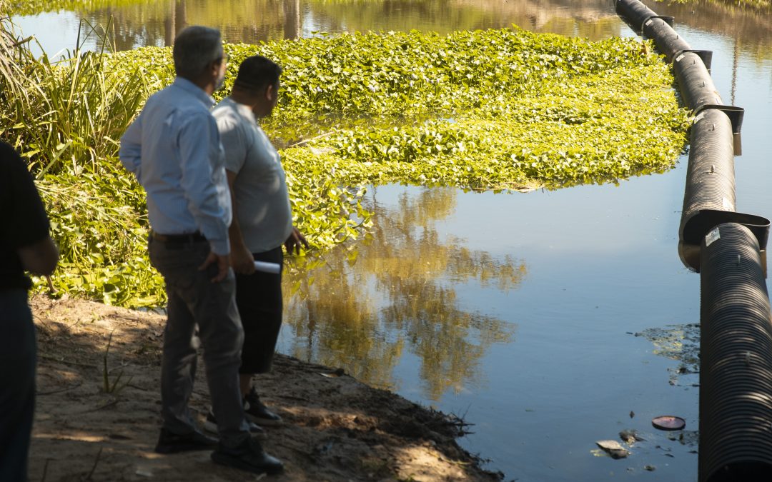 Instalan en el Arroyo Carrasco la primera Biobarda Industrial de Uruguay