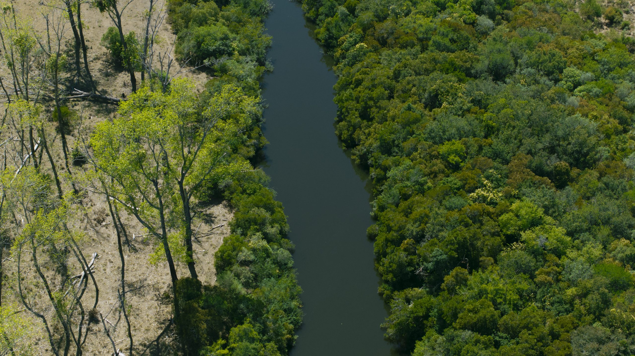 Las biobardas son barreras flotantes que se colocan en este caso sobre el Río Mallada en San José, para frenar y recolectar residuos sólidos —principalmente plásticos— antes de que lleguen a cuerpos de agua más grandes como lagos, embalses o el mar. Están construidas con materiales simples y accesibles (como envases de plásticos, y funcionan de forma pasiva: aprovechan la corriente del agua para atrapar los residuos flotantes sin afectar el cauce natural. Este proceso contó con la colaboración de estudiantes de la Escuela N°68 y N°3 junto a la Intendencia de San José, el equipo del IMFIA y de AUA.