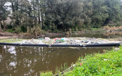 Entre heladeras, calefones y botellas: así funciona la malla que ayudó a retirar 120.000 kilos de basura del arroyo Carrasco